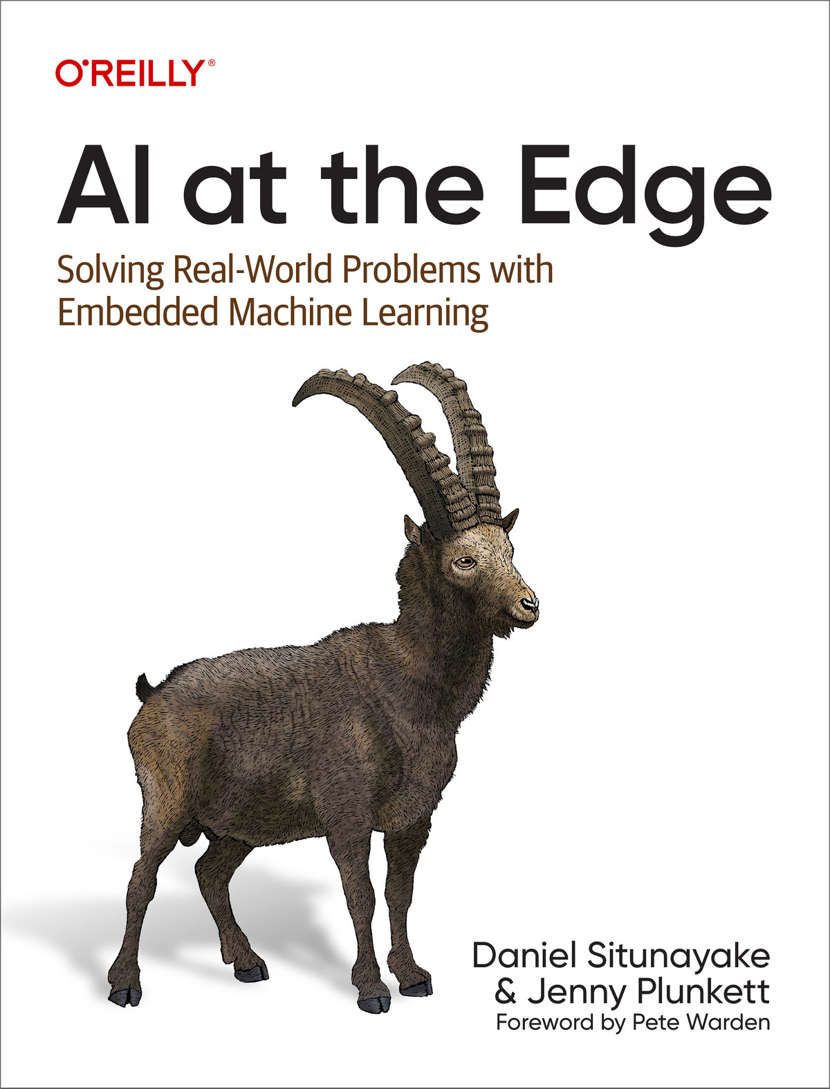 AI at the Edge book cover
